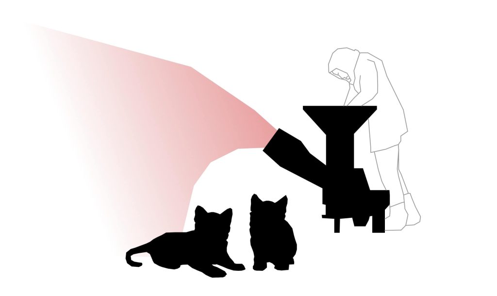 BIM Model Kittens